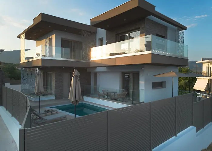 Oledio 利迈纳里亚