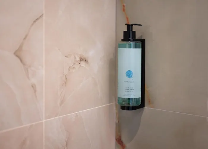 公寓 Oledio 利迈纳里亚